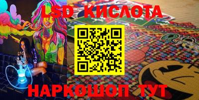 крисы Вязьма