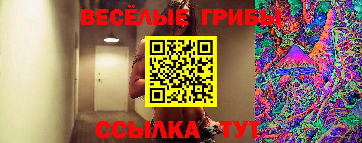 Губкинский  Галлюциногенные грибы Cubensis  Вход с VPN 