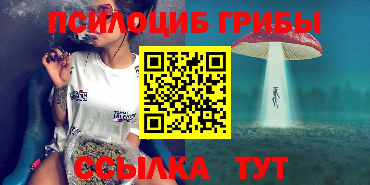 Галлюциногенные грибы прущие грибы Губкинский